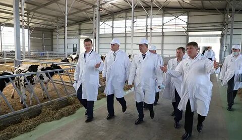 Агрохолдинги краснодарского края