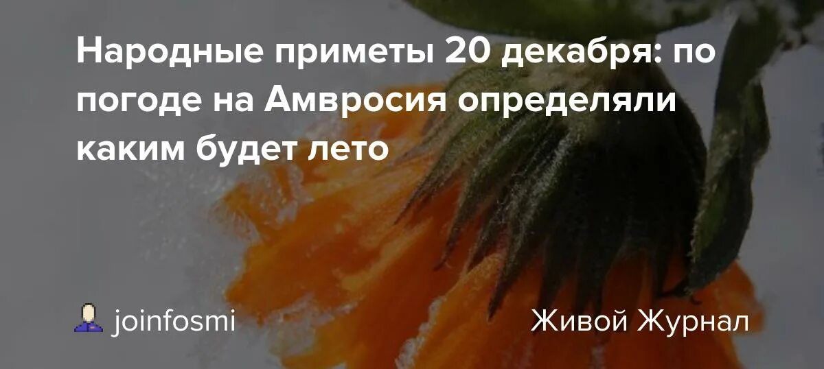 Народные приметы каким будет лето. 20 Декабря народные приметы. По какому Дню определяют какое будет лето.