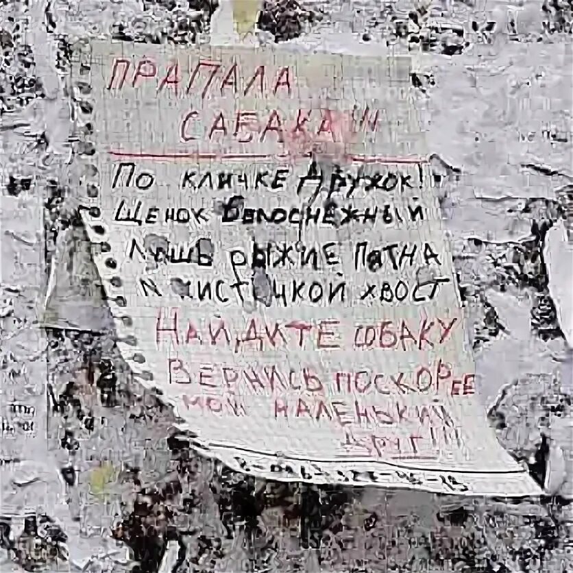 Висит на заборе колышется ветром
