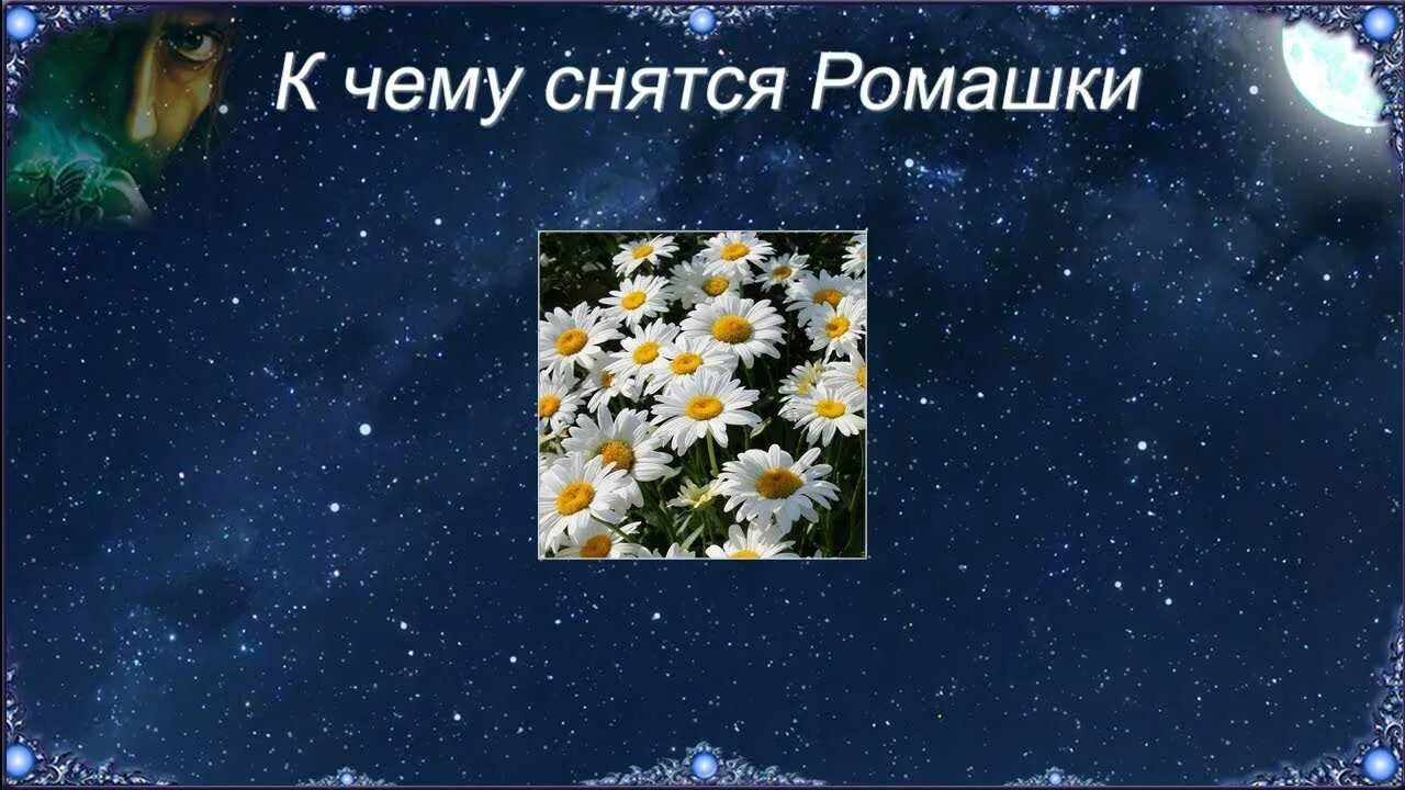 Цветы букет вручают. Букет во сне к чему снится. Букет фон. Букет во сне к чему снится. К чему снятся цветы живые.