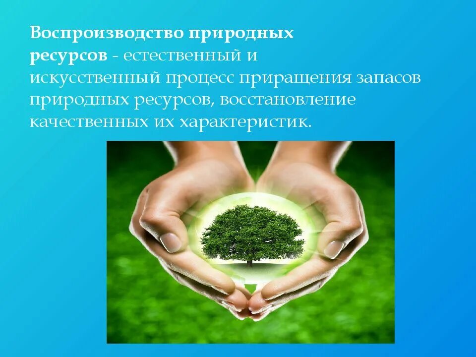 Использование природных богатств. Воспроизводство природных ресурсов. воспроизводство и использование природных ресурсов. проблемы использования природных ресурсов. восстановление природных ресурсов.