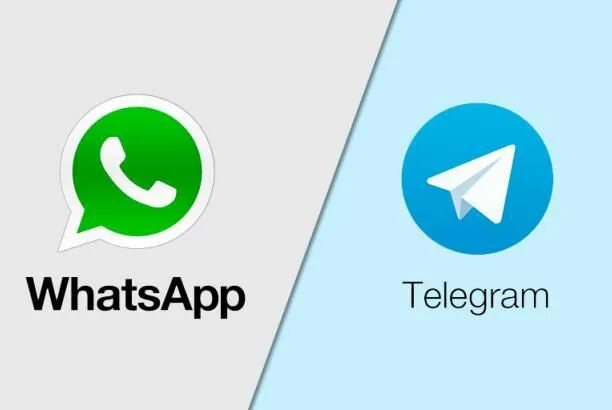 Как выглядит значок ватсап на телефоне Projekt Ikony Whatsapp Darmowy Wektor Vector free, Icon design, Vector whatsapp