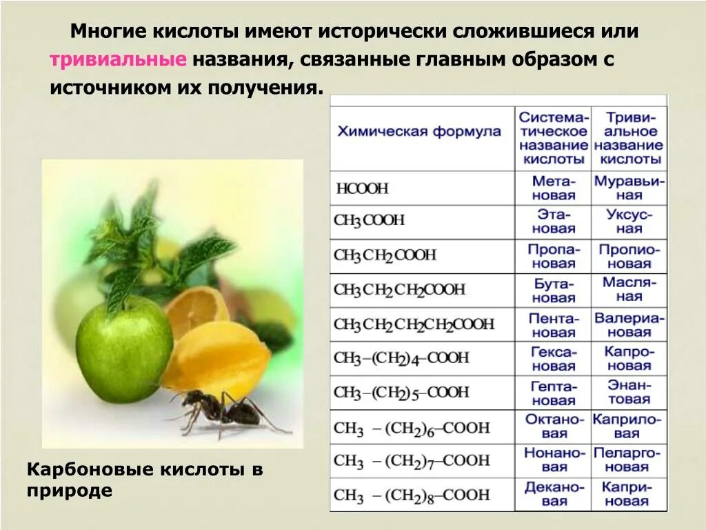 Органические кислоты в химии. Тривиальные названия карбоновых кислот. Тривиальные названия кислот. Названия органических кислот. Тривиальные названия карб кислот.