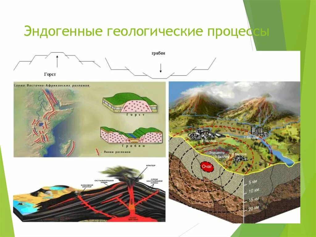 Эндогенные процессы Геология. Эндогенные геологические процессы – магматизм. Эндогенные и экзогенные процессы. Экзогенные процессы и эндогенные процессы. Внутренние изменения рельефа