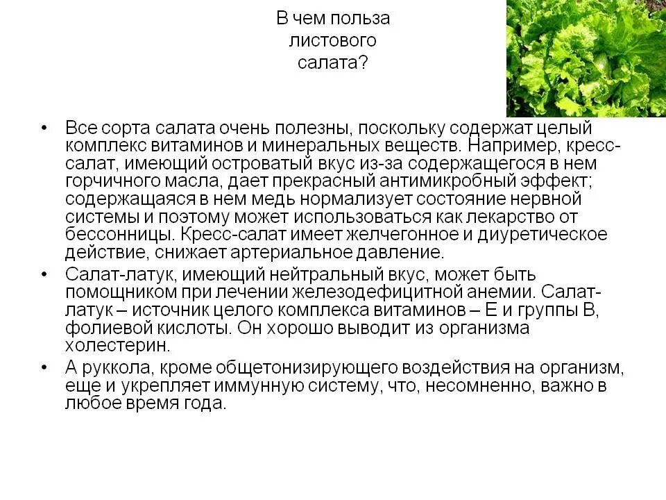 На сколько полезен салат. Салат латук листовой характеристики. Салат листовой витаминный характеристики. Листья салата польза. Чем полезен салат листовой.