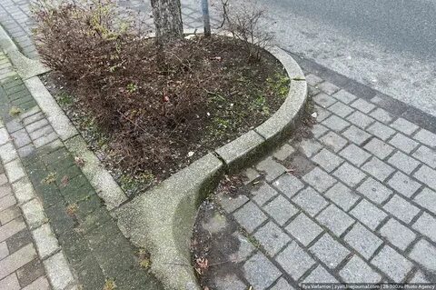 Вокруг выполнить