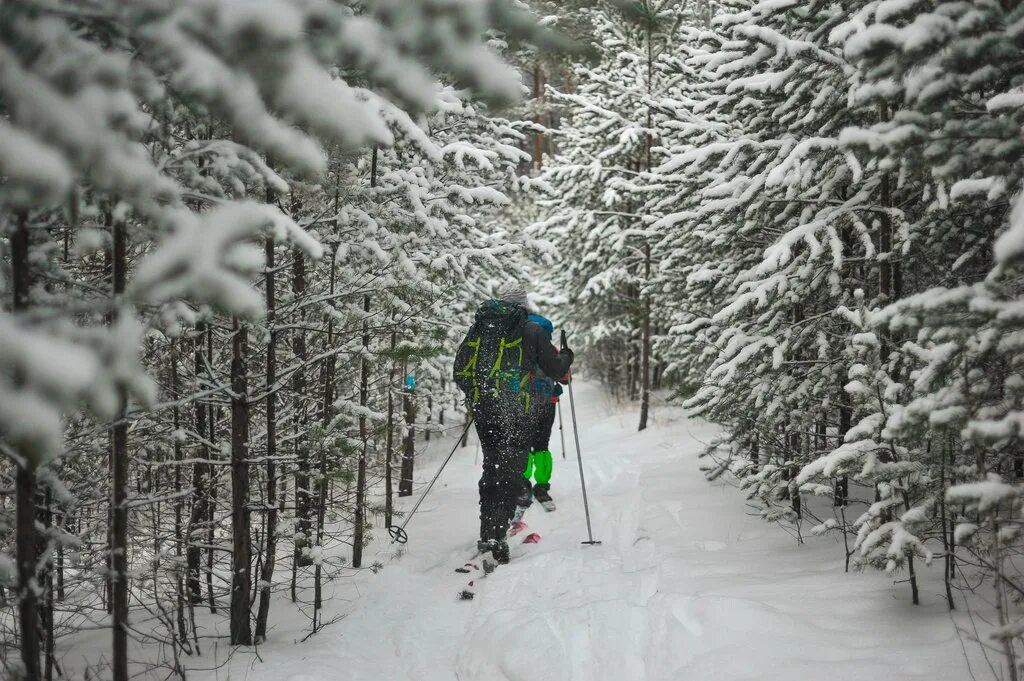Лыжник в лесу. Лыжник из Екатеринбурга. Лыжники заблудились в лесу. Лыжники в лесу Королев.