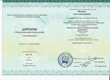 Академия вэгу сайт