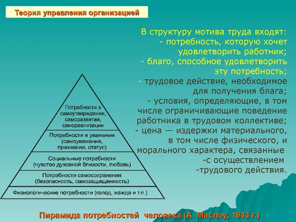 Теория потребностей в менеджменте. Теория управления пирамида. Теории управления организацией. Пирамида менеджмента в организации. Уровень самосохранения