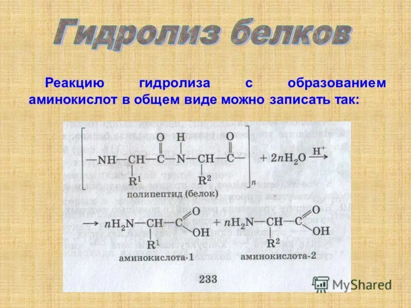 Химия белков тесты