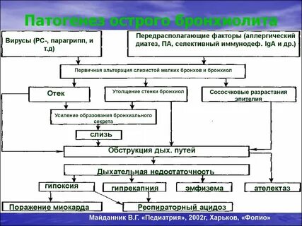 Этиология бронхита у детей