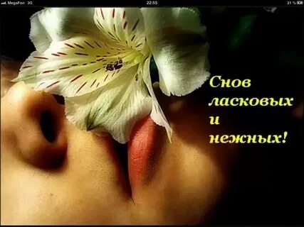 Спи крепко нежно