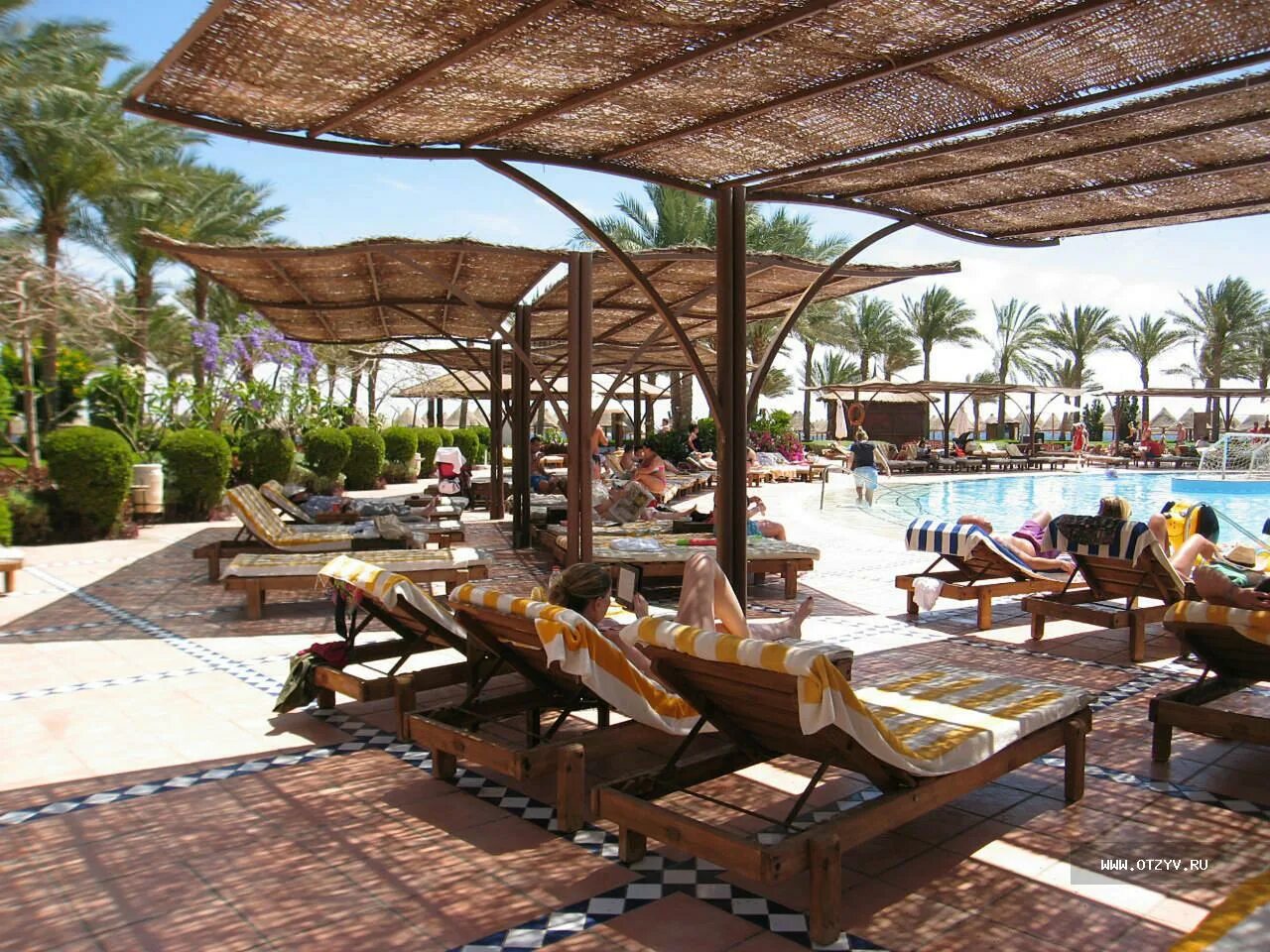 Отель шарм плаза 5. Sharm Plaza (ex. Crowne Plaza Resort) 5*, Египет. Sharm Grand Plaza 5*. Sharm Grand Plaza Resort 5 пляж. Шарм Гранд Плаза Резорт Шарм-Эль-Шейх.