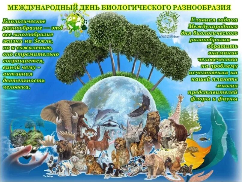 22 мая 2023 г. День биологического разнообразия. Международный день биоразнообразия. День сохранения биологического разнообразия. Всемирный день биологического разнообразия.