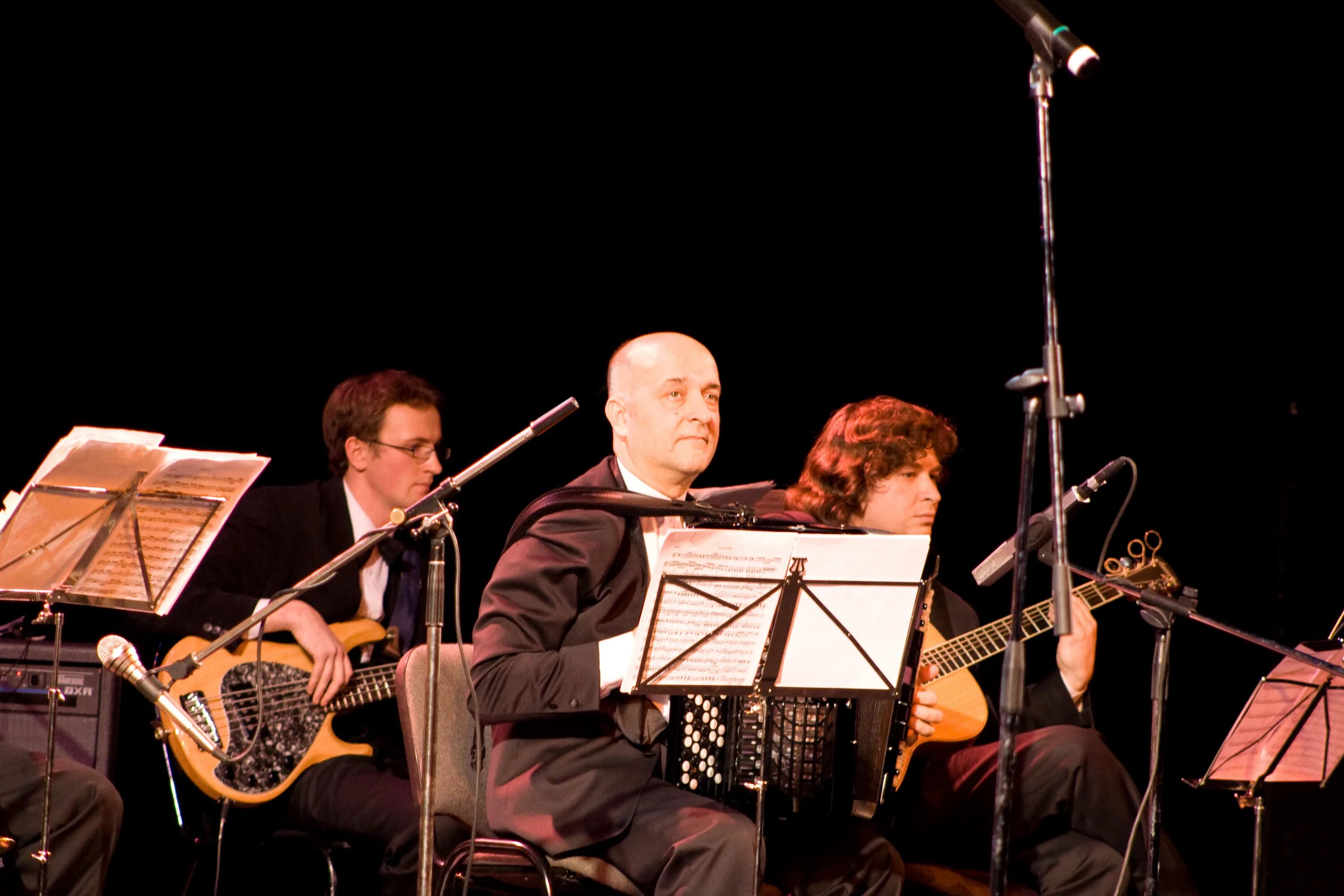 Доули фэмили. Ансамбль мирас казань рустам рахматуллин. Анатолий борисович силин дирижёр. Виа синяя птица самарская филармония. Руководитель инструментального ансамбля.