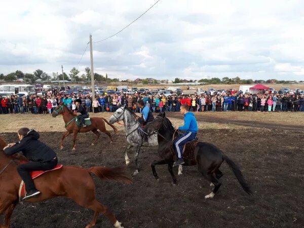 Погода в кривянской на 14. Станица Кривянская Новочеркасск. Станица Кривянская школа 72. Праздник Покрова скачки станицы Кривянской. Скачки в станице Кривянской.