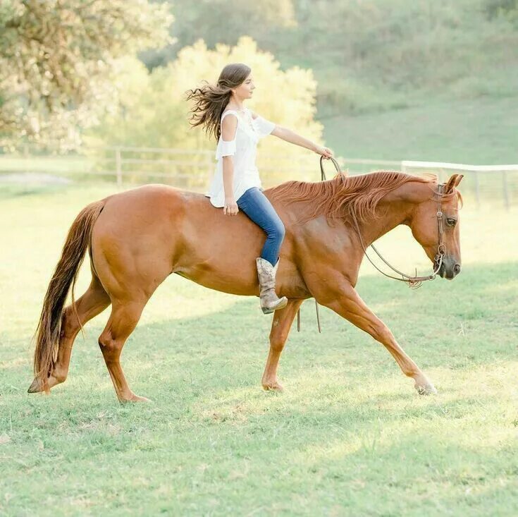 Ross und Reiter #Reitsport #Reiten #Pferde #Horses #Reiterhosen #Reitstiefel #Kl