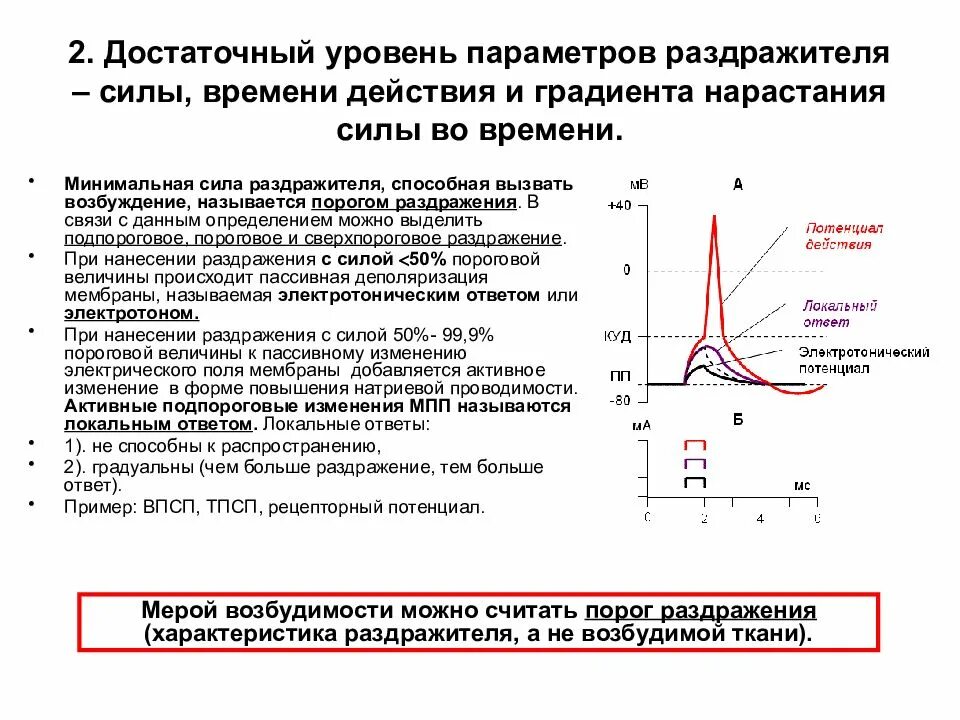 Отвечает на раздражение