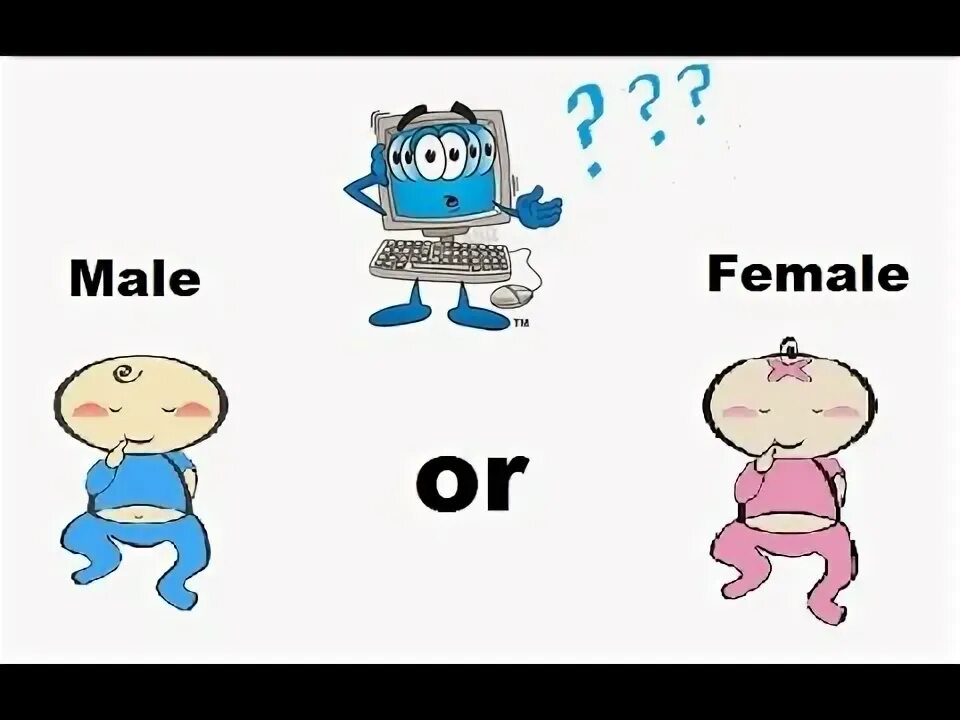 Are you male or female. Программист c++ мем. Are you male or female. Male or female. Возраст пол иконка.