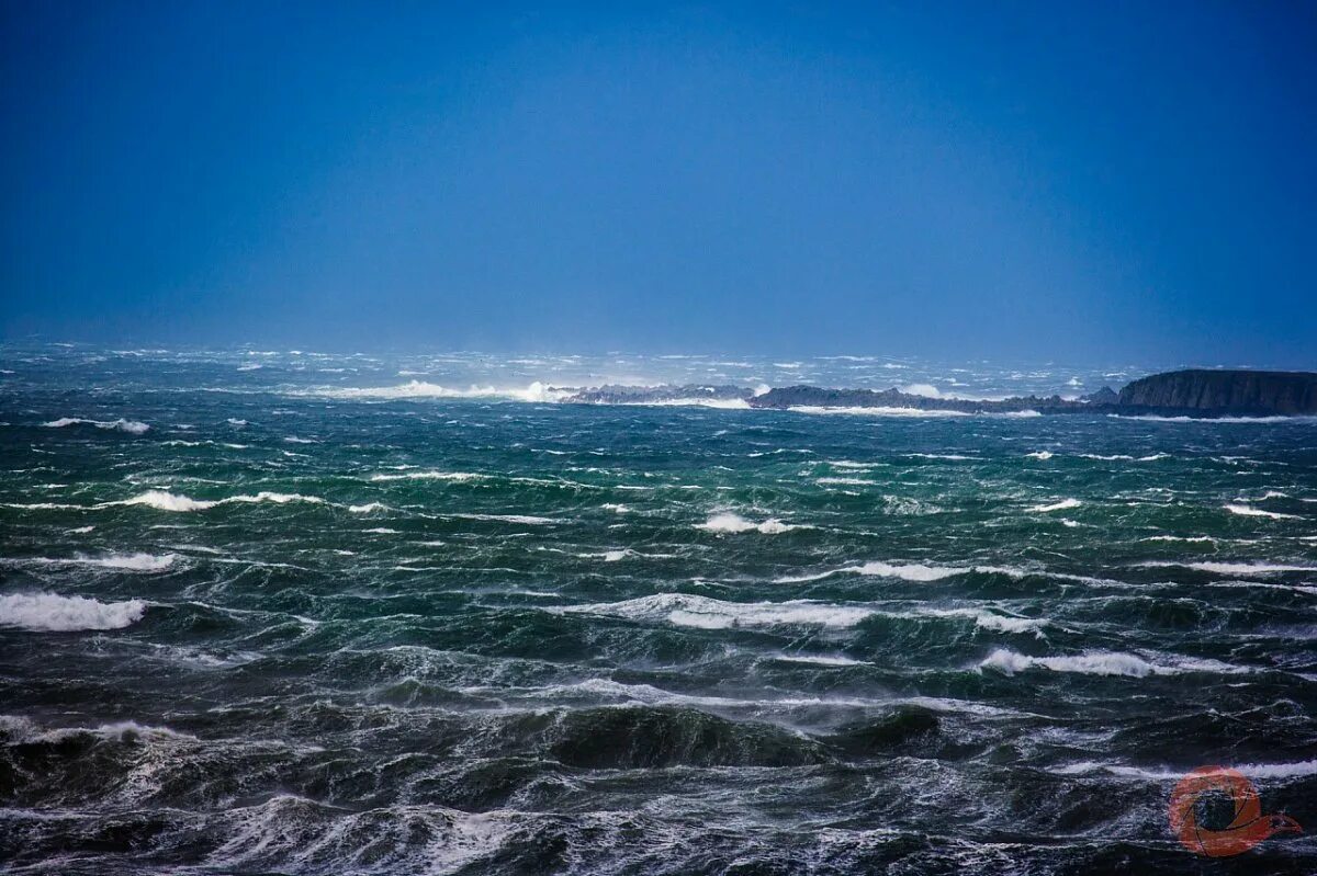 моря тихого океана. камчатка побережье тихого океана. командорские острова. акватория тихого океана моря. акватория охотского моря.