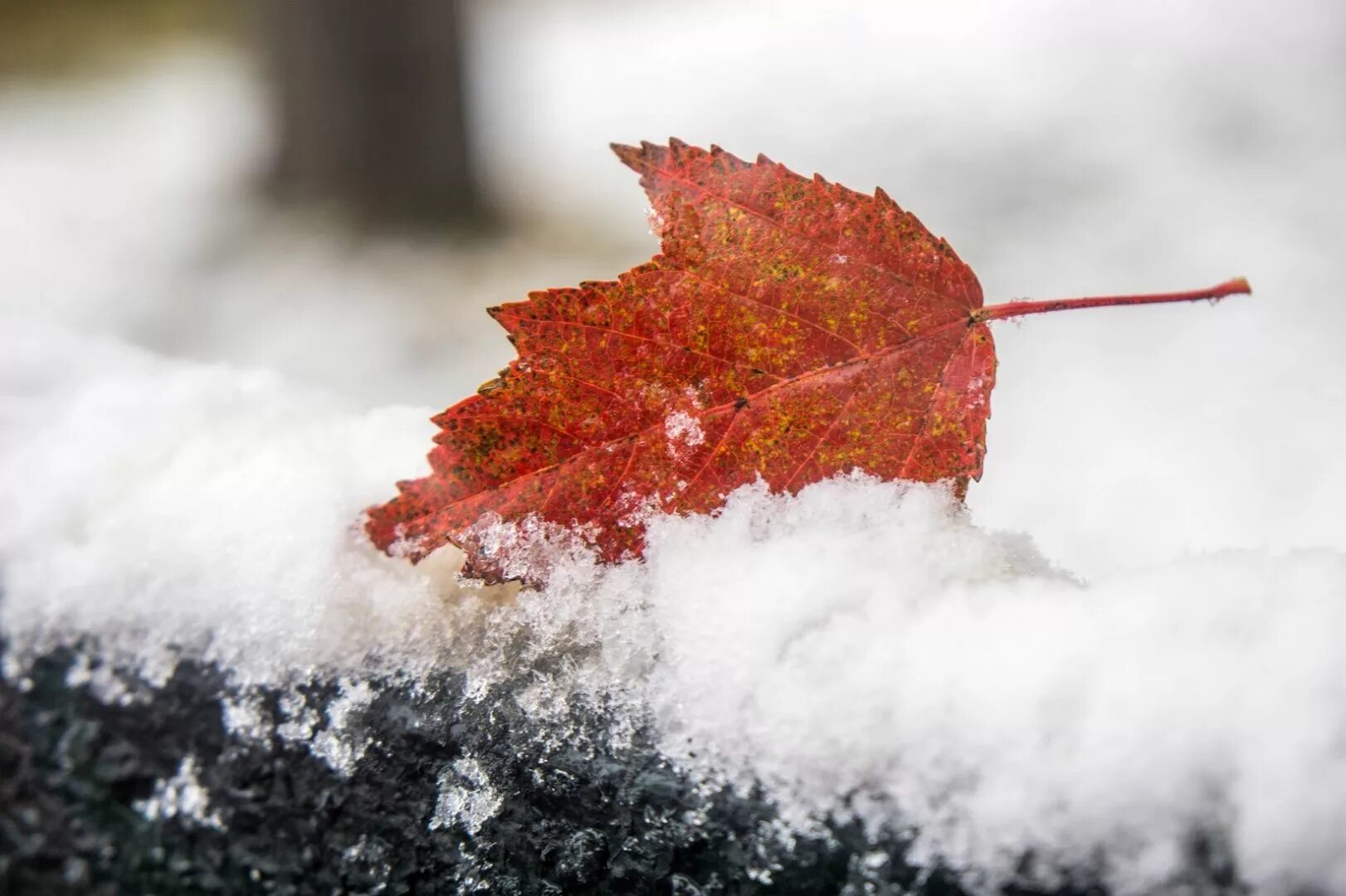Мокрый снег гололед. Лужи зимой. Лед на тротуаре. Мокрый снег. Скользко на дороге.