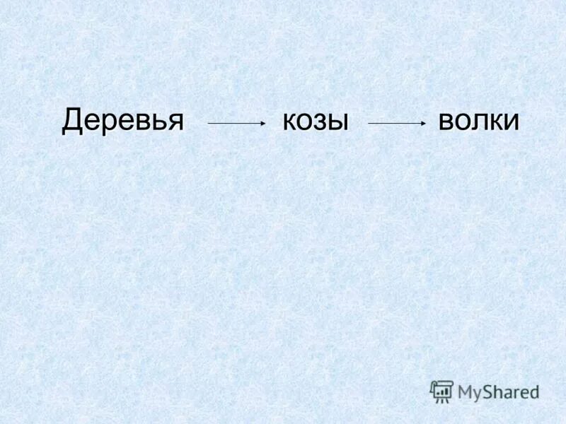 Животные у которых 6 ног