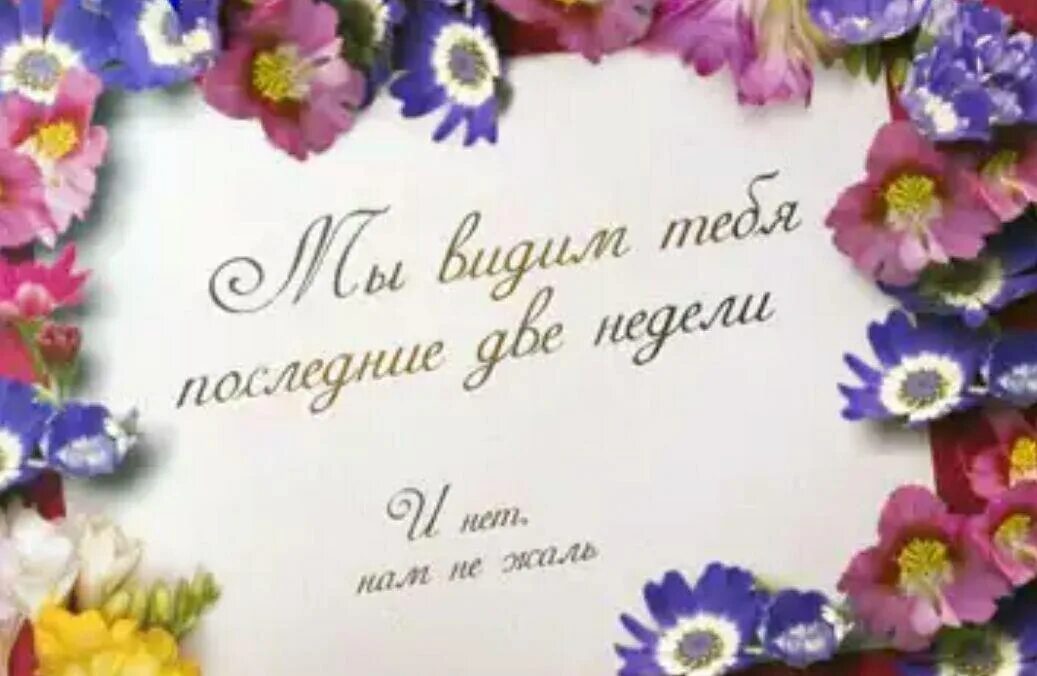 Последнее слово коллегам. Открытка на увольнение коллеге. Поздравление на увольнение коллеге. Открытка поздравление с увольнением. Открытка коллеге при увольнении.