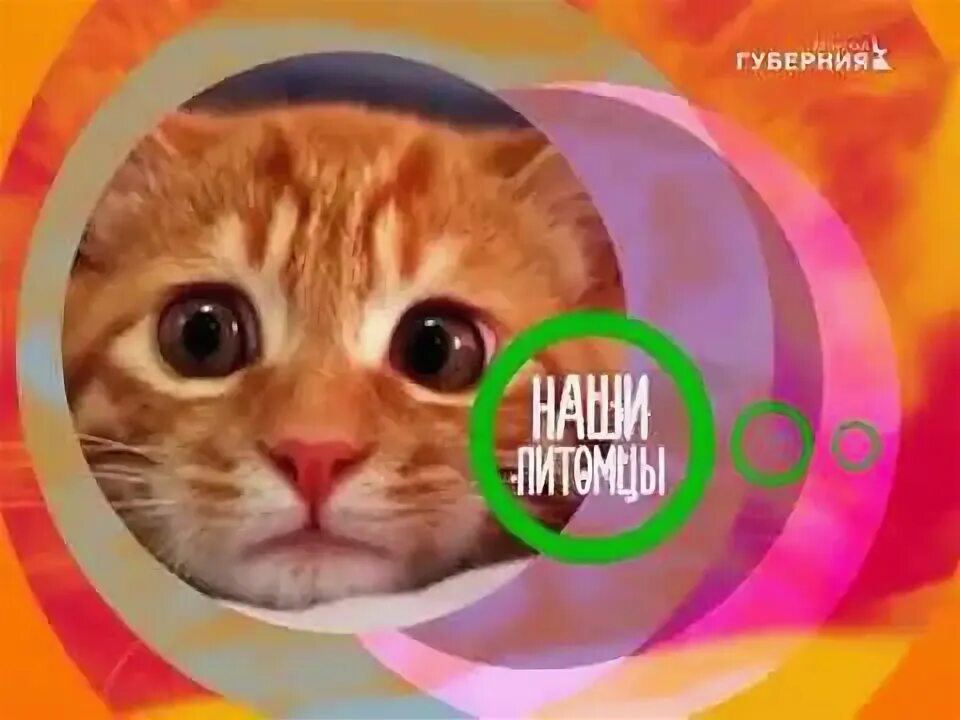 Включи 4 качестве. Включи 1 часть. включай до 4 картинку. включи а 4.