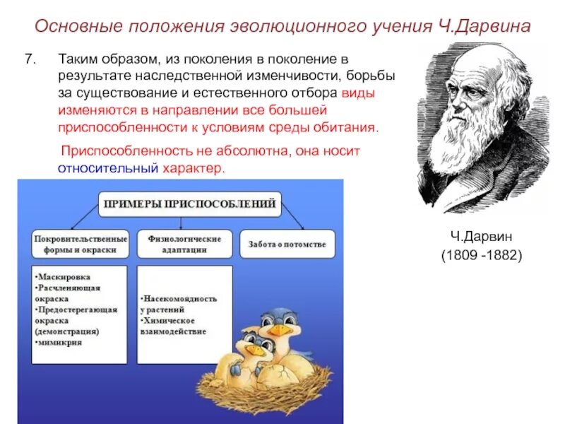 Учения о движущих силах эволюции. Эволюционное учение. положения эволюционного учения дарвина. учение дарвина о наследственности и изменчивости. основные положения эволюционной теории дарвина.