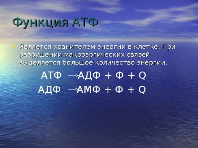 В атф заключено энергии. В молекуле АТФ энергия заключена в химических связях между. Функции АТФ. Сколько энергии заключается в АДФ. Фото АДФ.