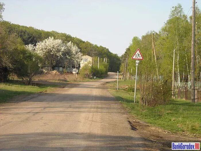 Поселок Иннокентьевка Хабаровский край. Село Иннокентьевка Хабаровский край Нанайский район. Село Иннокентьевка Приморский край. Иннокентьевка Приморский край Лесозаводский.