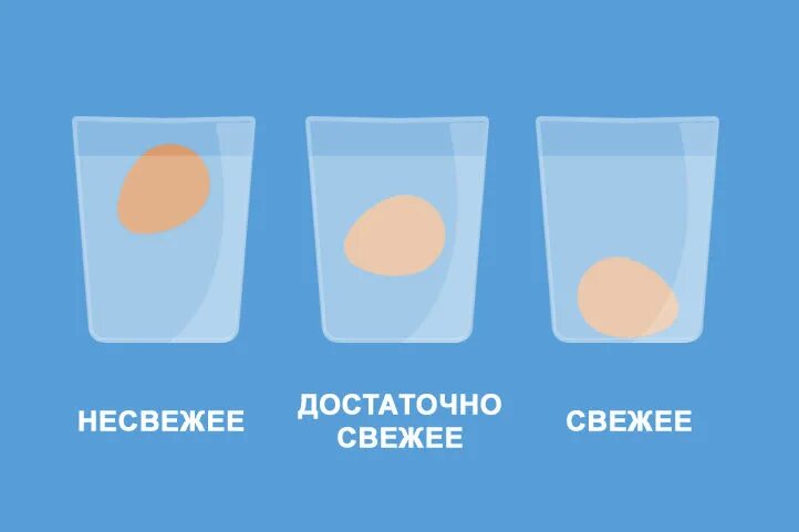 О что это всплыло. О что это всплыло. Если куриное яйцо всплывает в холодной воде. Как узнать свежесть яиц. О что это всплыло.