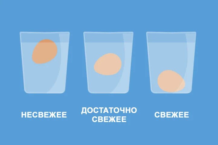 Свежее яйцо в воде. Свежесть яиц в воде. Как узнать свежесть яиц. Погружение в воду яйца. Как определить свежесть домашнего яйца