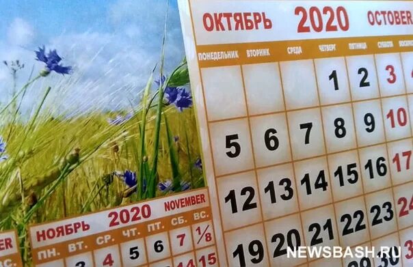 Выходные в октябре в башкирии. Выходные в октябре 2025. праздничные дни в октябре в башкирии. праздники в башкирии в 2025 году.