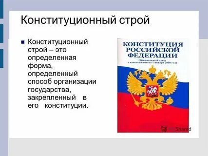 Конституционный орган пример