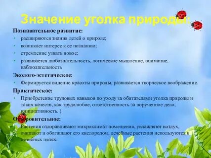 Описание любимого уголка природы