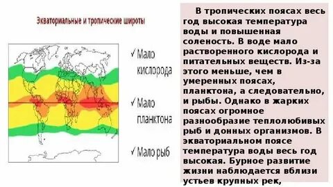 В тропических широтах образуется область почему