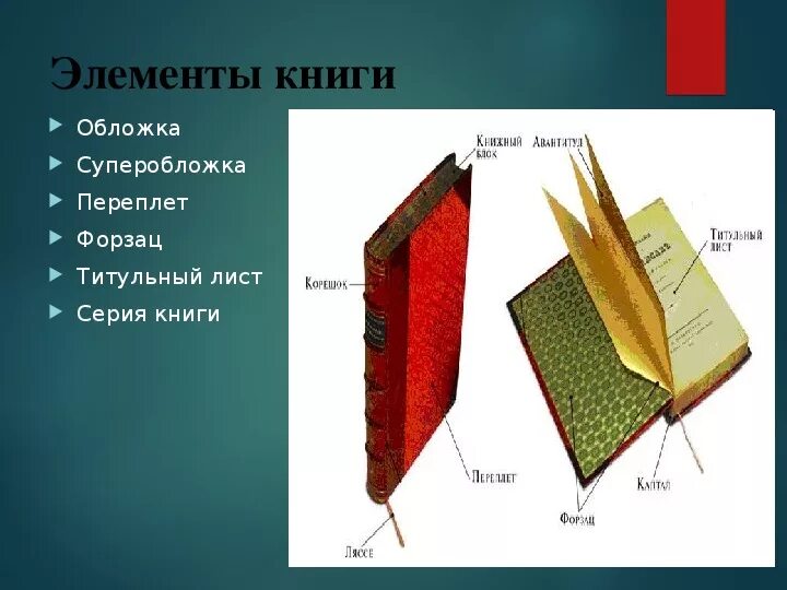 Частью книги является ответ. Анатомия книги из чего состоит книга. Элементы книги. Элементы обложки книги. Части книги как называются.