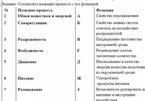 Соотнесите название норм с их содержанием морфологическая. Соотнесите название слоя и выполняемую им функцию. соотнесите названия органов с их функциями. соотнесите наименование и содержание кредитных продуктов. соотнесите название системы и ее характеристику.