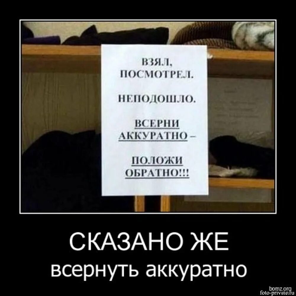Взяли ложу