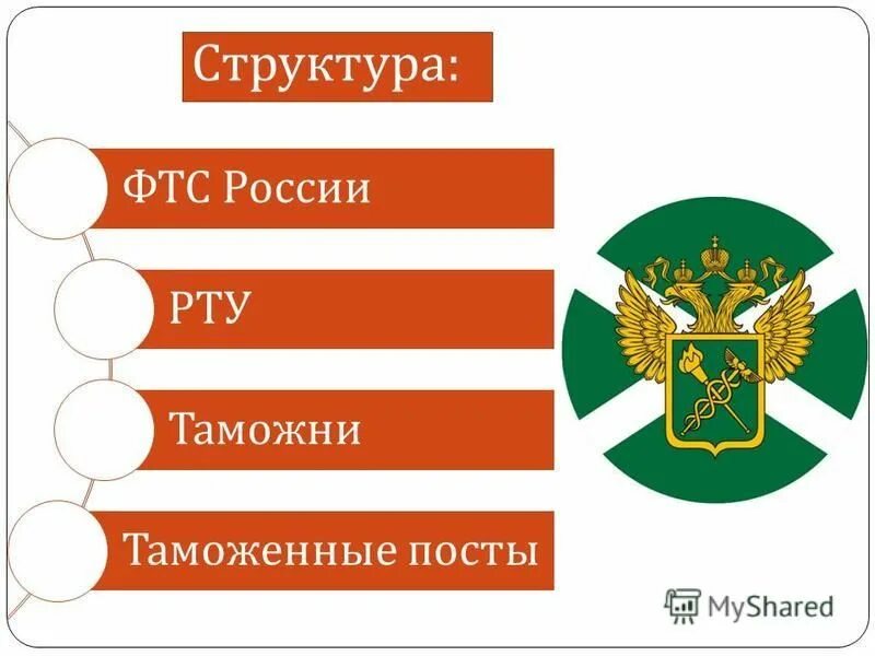 таможенные представители фтс