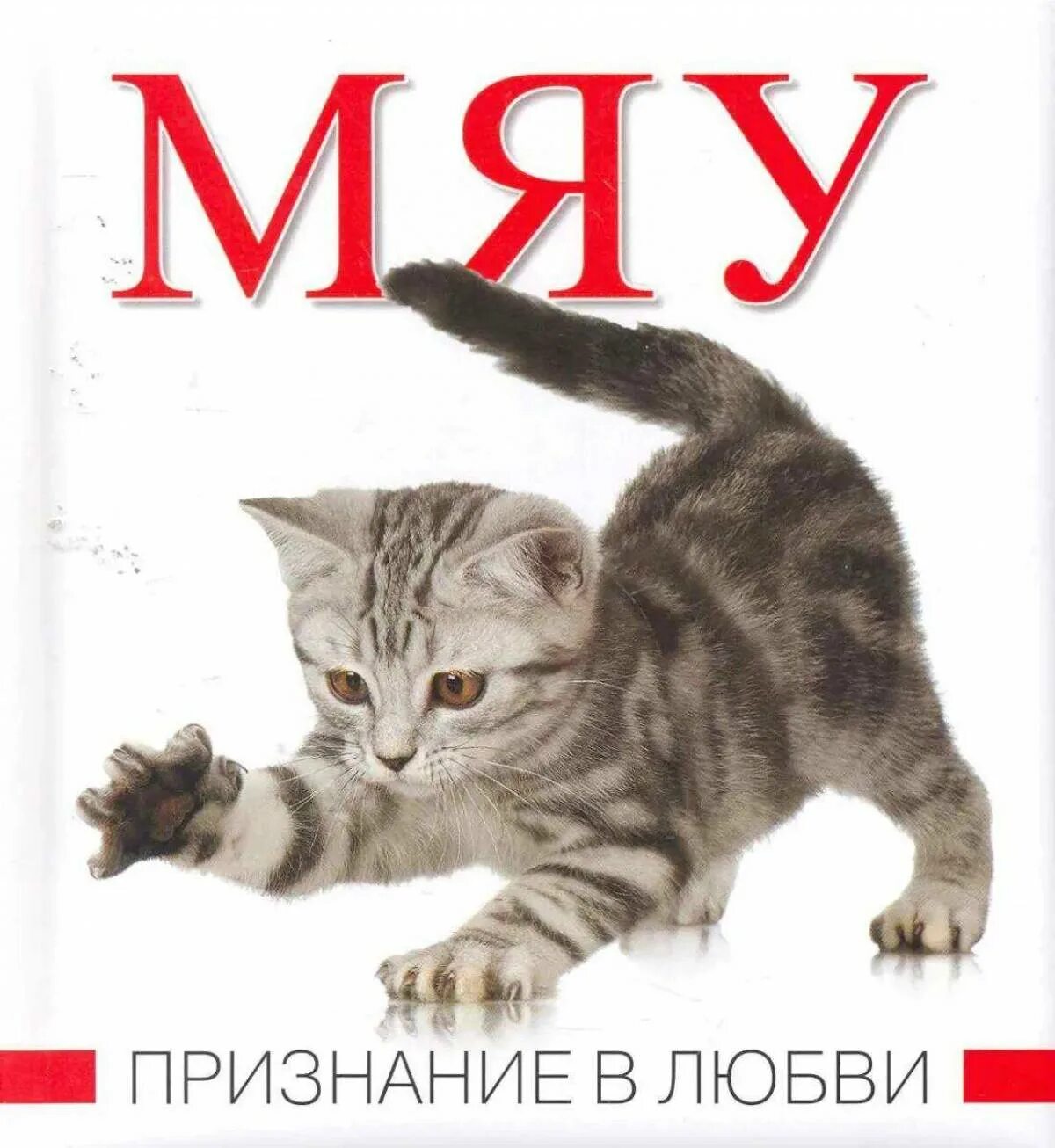 Котик скажи мяу