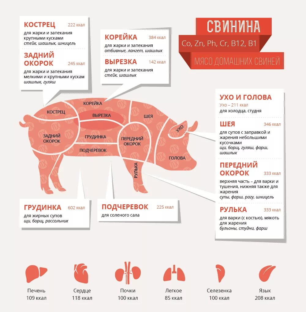 Какое мясо можно есть. Мясо свинины части туши. Корейка свиная какая часть туши. Мясо части туши свиньи. Строение свинины мясо.
