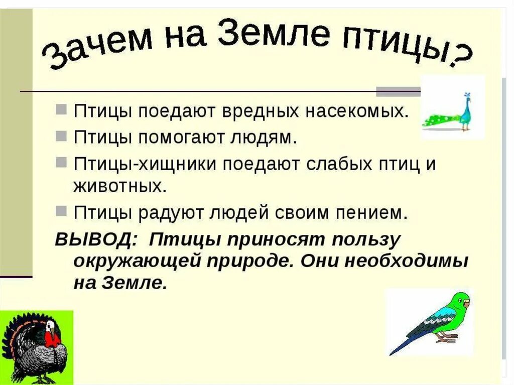 Птицы которые помогают человеку