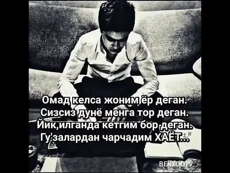 Дуне шунчалар кимматми мп3