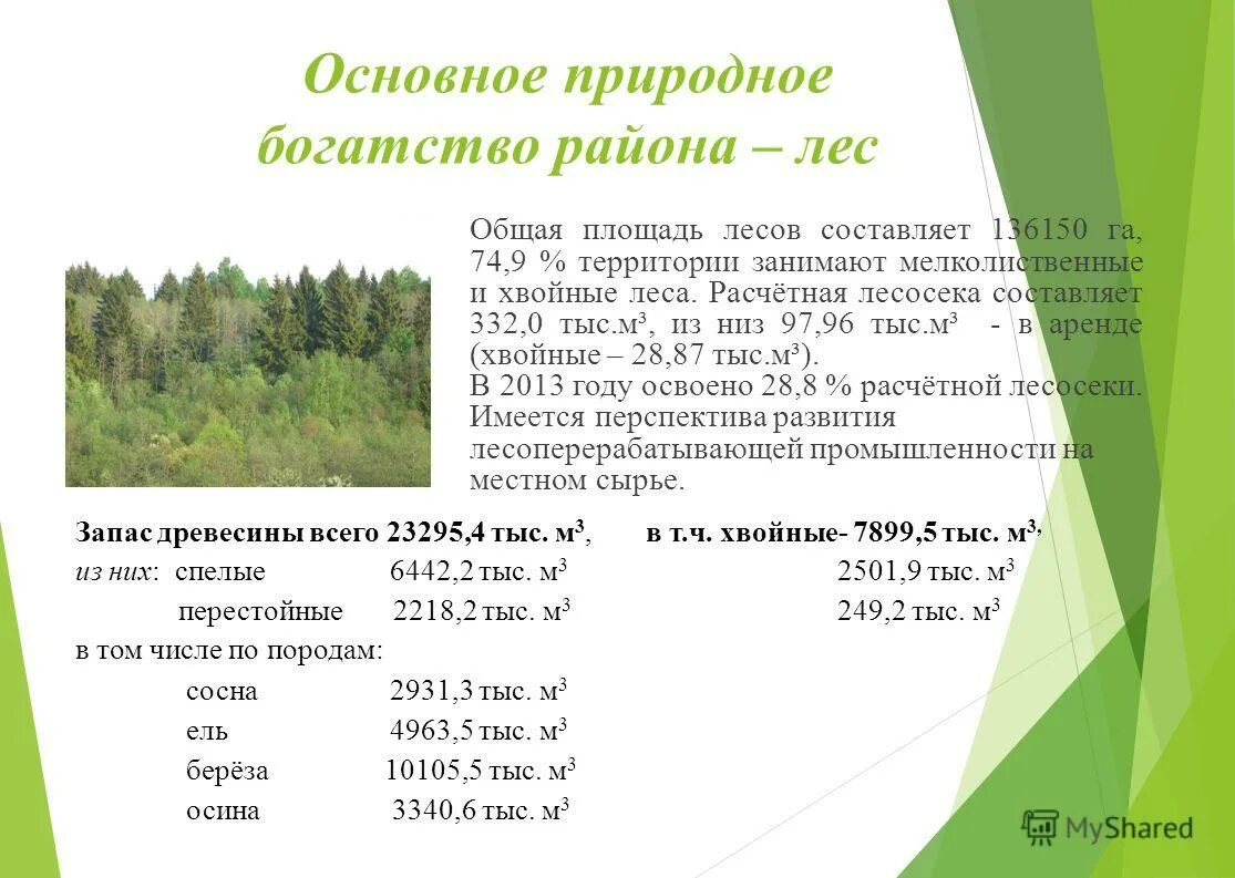 минимальные ставки платы за древесину отпускаемую на корню на 2020 год. предельные величины площади земельного участка. коэффициент площади лесного участка. расчет ставок платы за древесину. разряды таксации лесов.