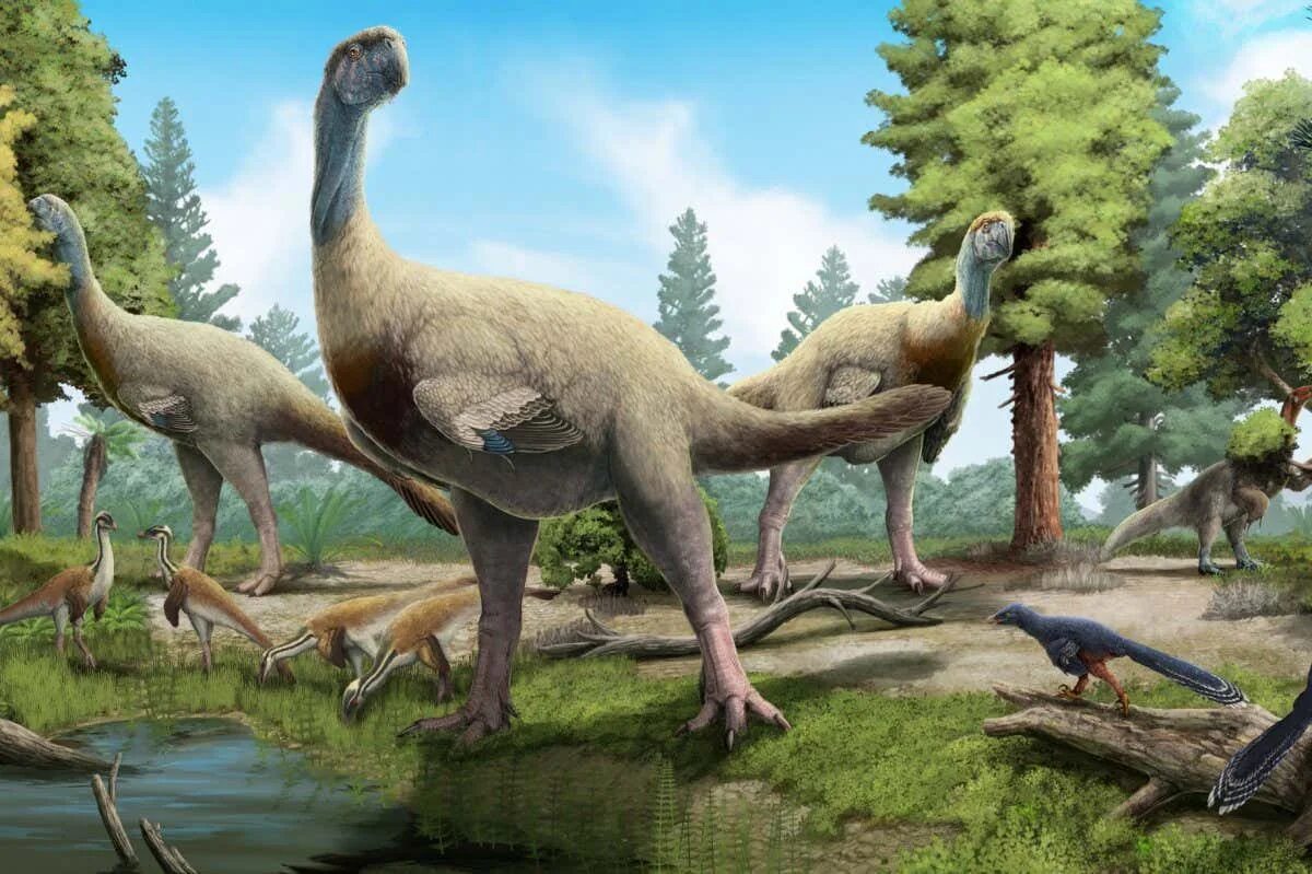 Гигантораптор. Gigantoraptor erlianensis. гигантораптор планета динозавров. тероподовых динозавров. предки динозавров.