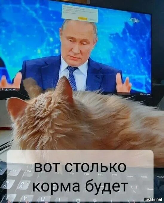4 вот столько