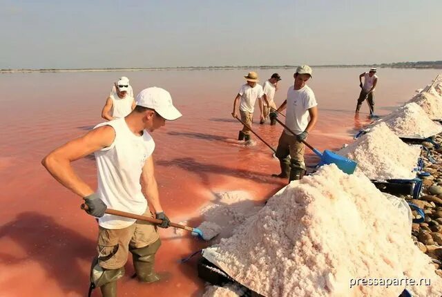 Поваренная соль добыча. Добыча поваренной соли. Добыча морской соли. Поваренная соль добыча в России.