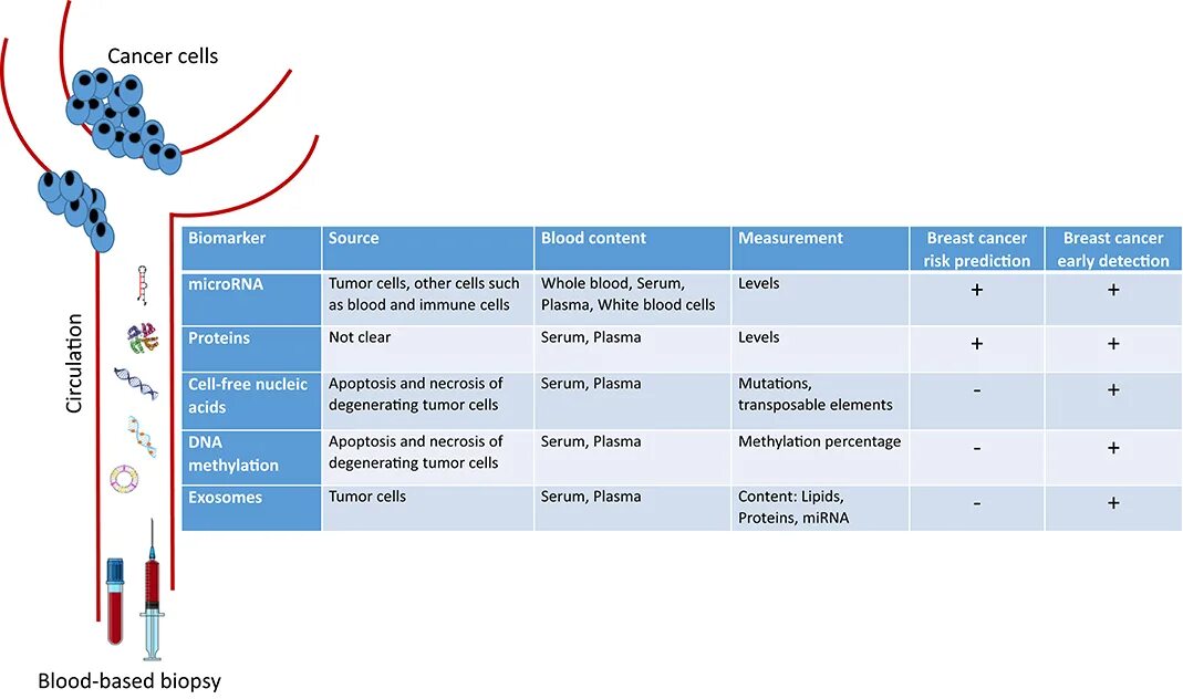 Risk Factors of Cancer. Биомаркеры для определения жизни на экзопланетах. Breast Cancer Detection. Liquid biopsy. Онкомаркер са72